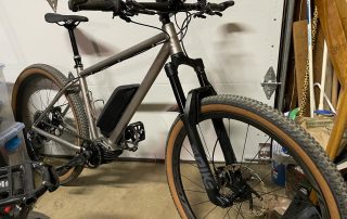 zinn custom electric mountain bike