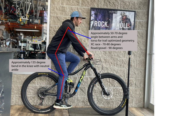 proper mountain bike fit