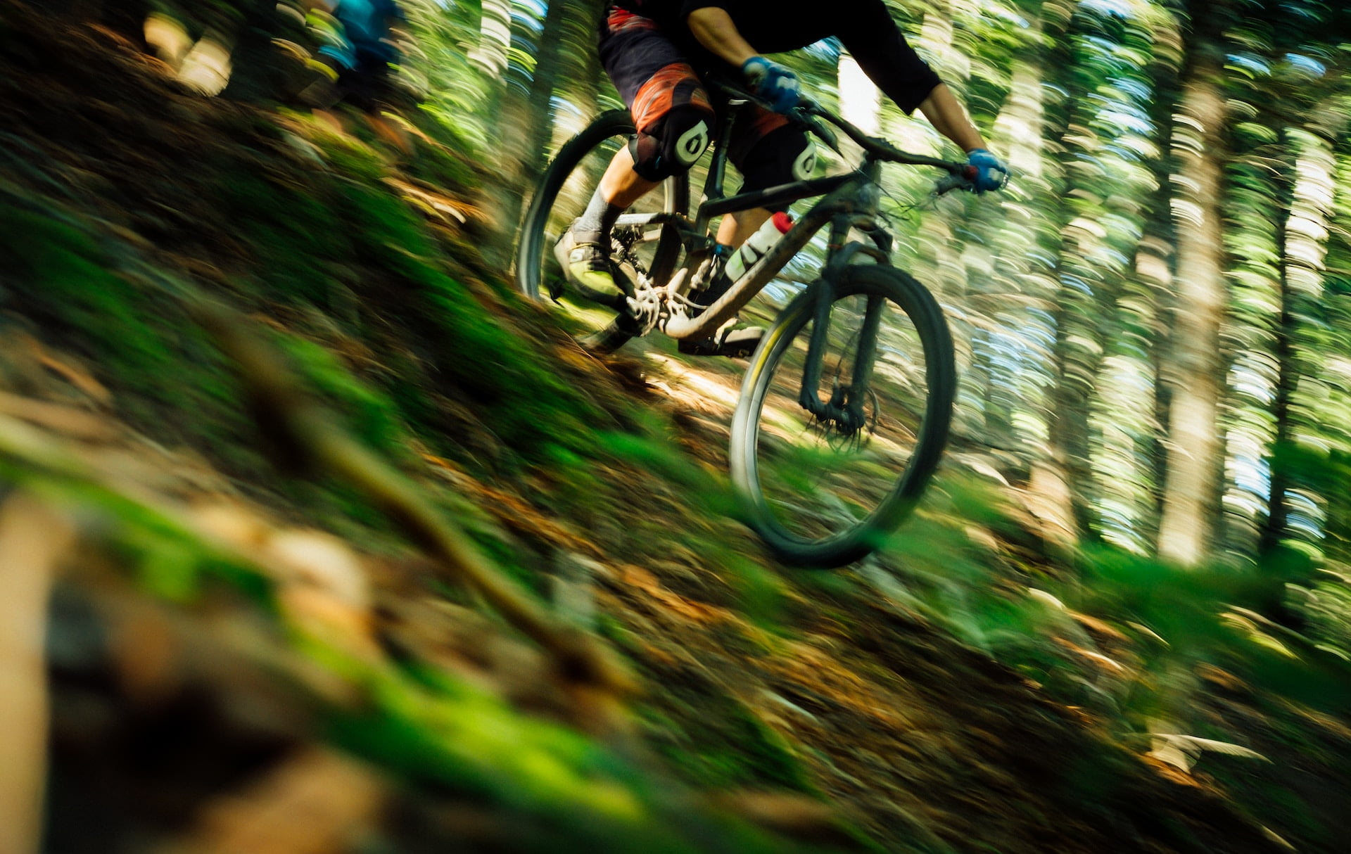 Cyclist riding quickly down a woody hill